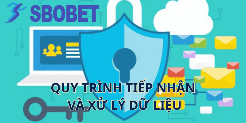 Quy Trình Tiếp Nhận Và Xử Lý Dữ Liệu