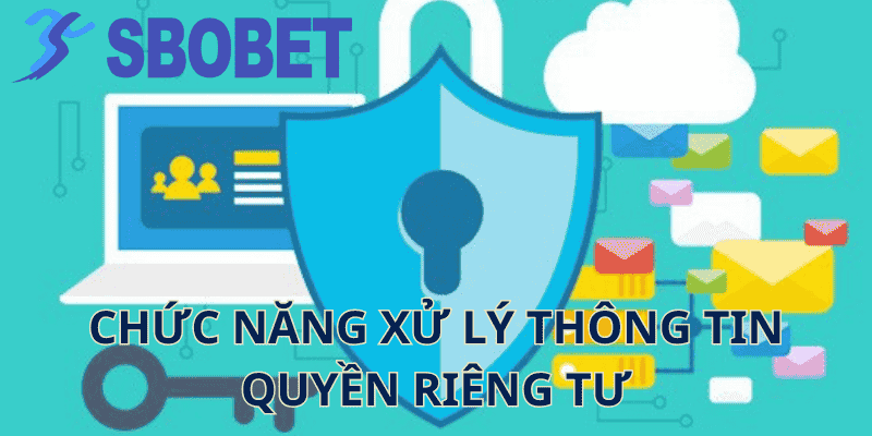 Chức Năng Xử Lý Thông Tin Quyền Riêng Tư